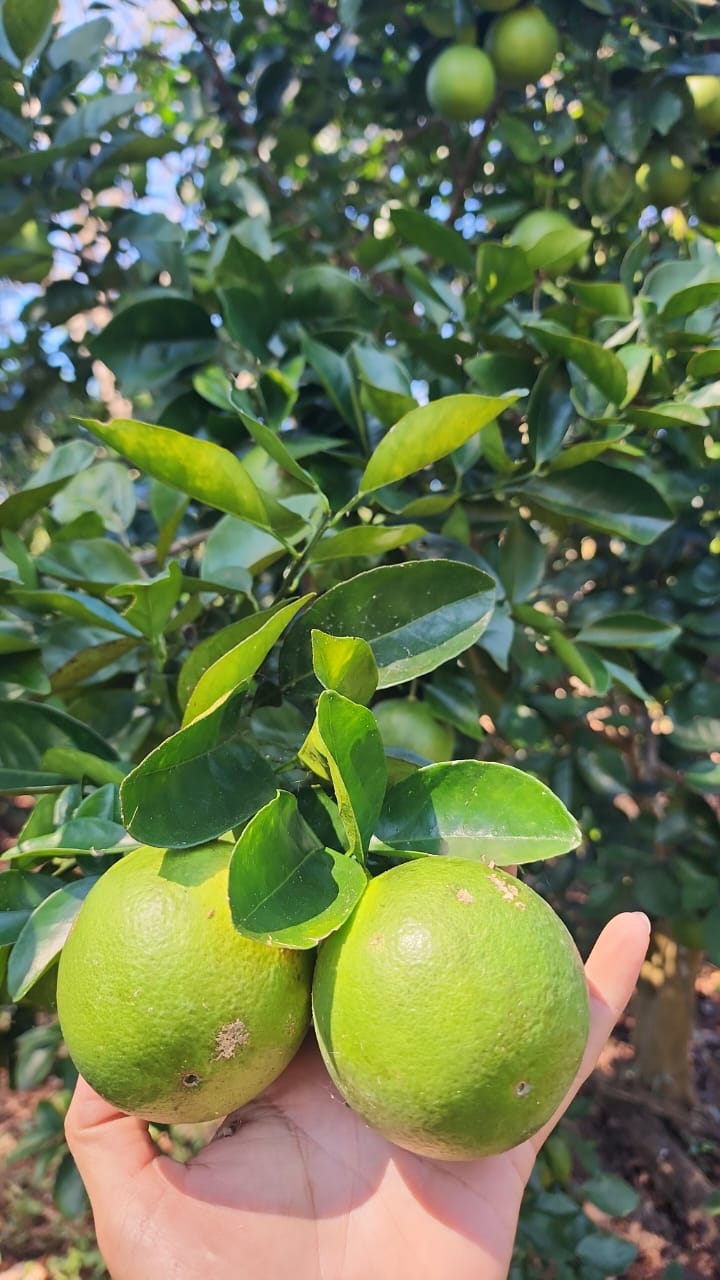 Los Ángeles de Nandayure